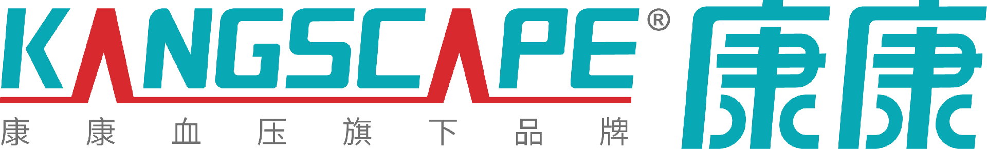 陕西康康盛世电子科技有限公司